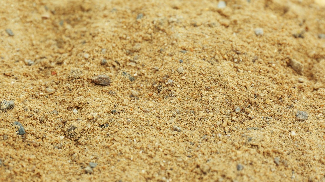 Sandy soil type