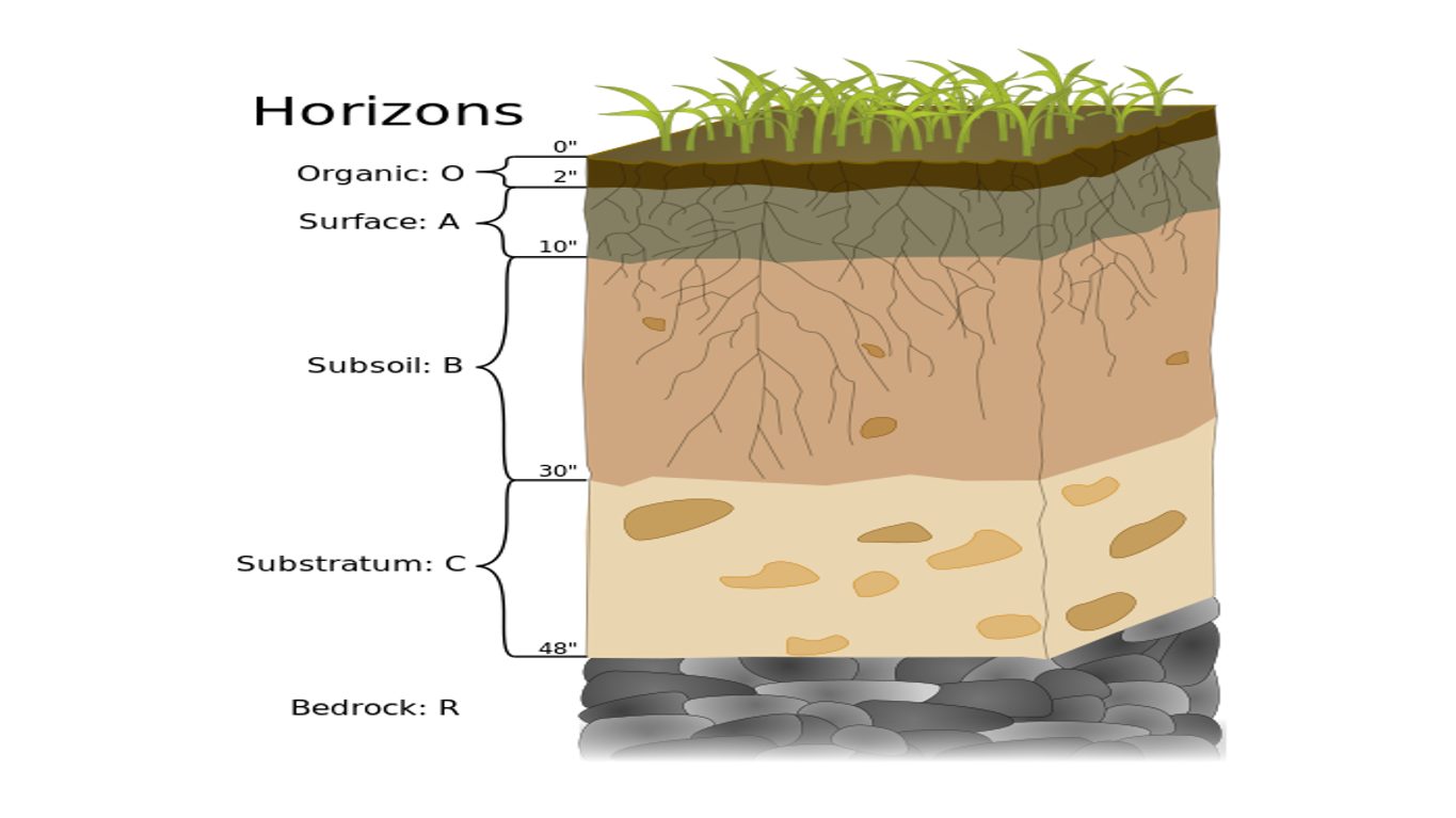 soil horizons layers